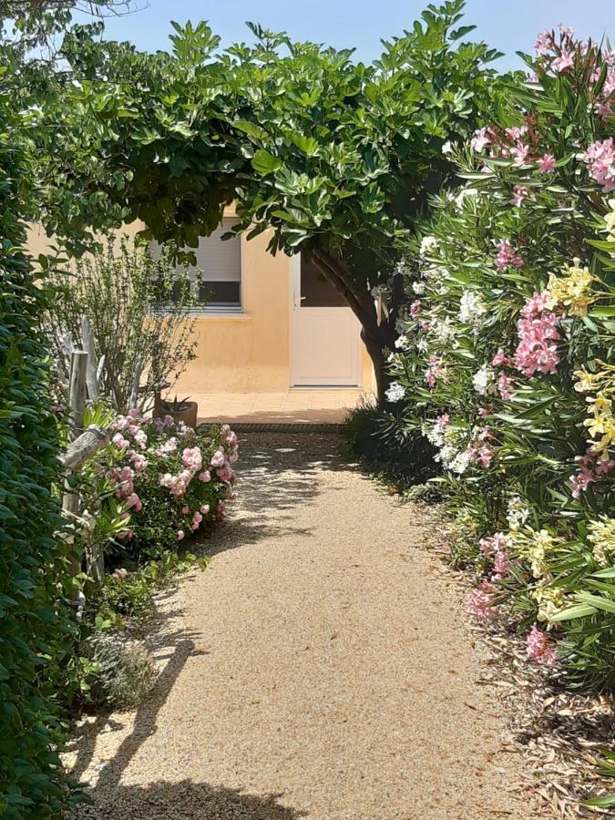 Petite Maison De Campagne Gardoise Théziers エクステリア 写真